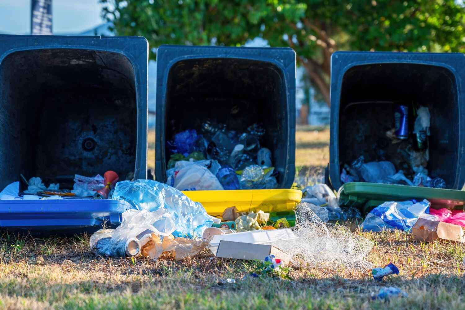 Basement Cleanout Services in Fountain, CO